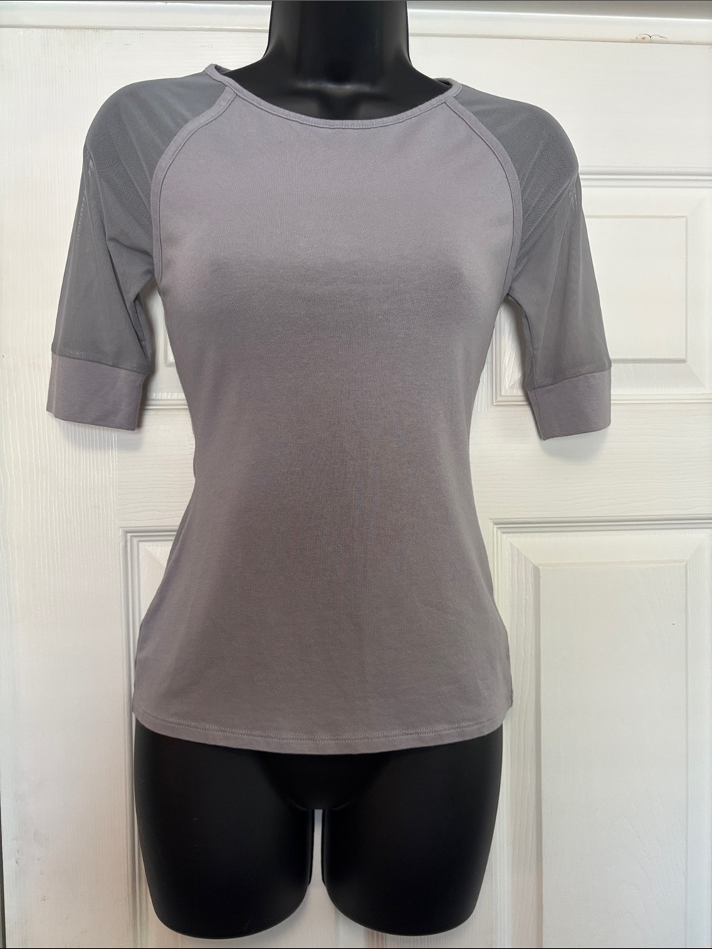 Express sheer panel zipper back short sleeve top